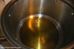 Oil Heating Up To Make Popcorn