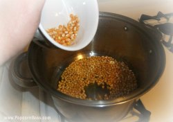 Adding Kernels To Hot Oil