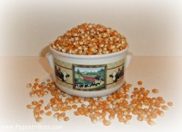 Bowl of Popcorn Kernels Bowl of Popcorn Kernels